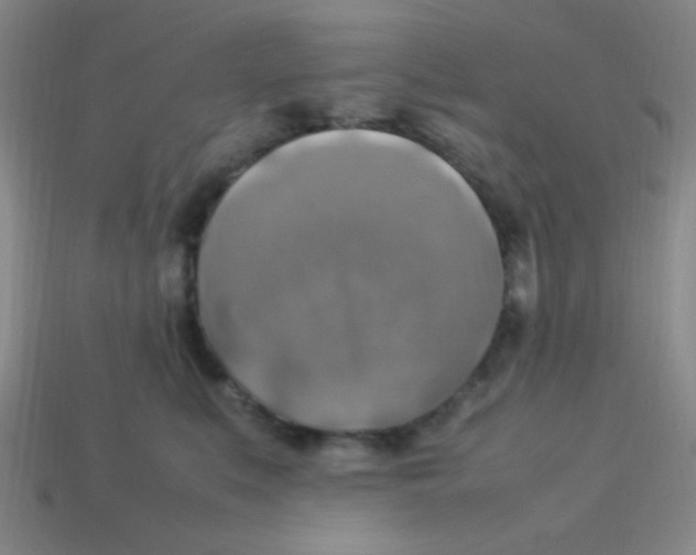 X0000113780519200910211208