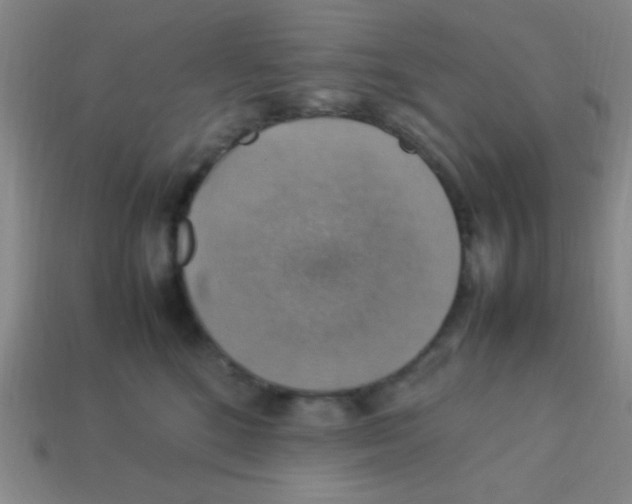 X0000113780520200910211208