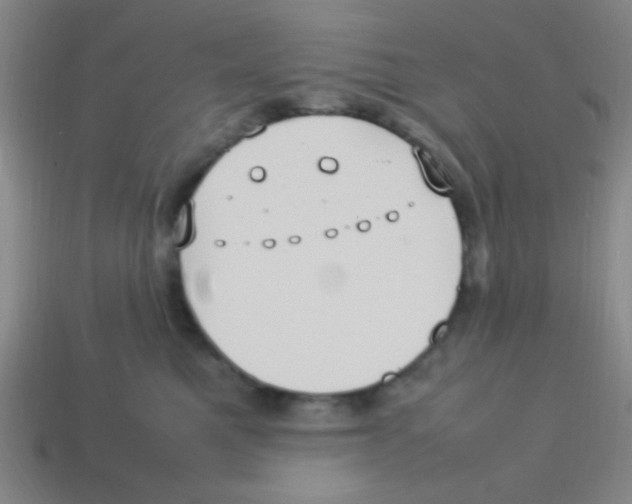 X0000113780521200910211208