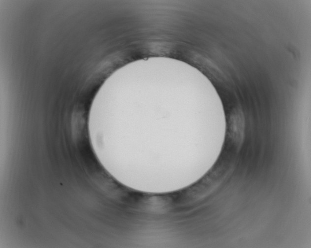 X0000113780522200910211208