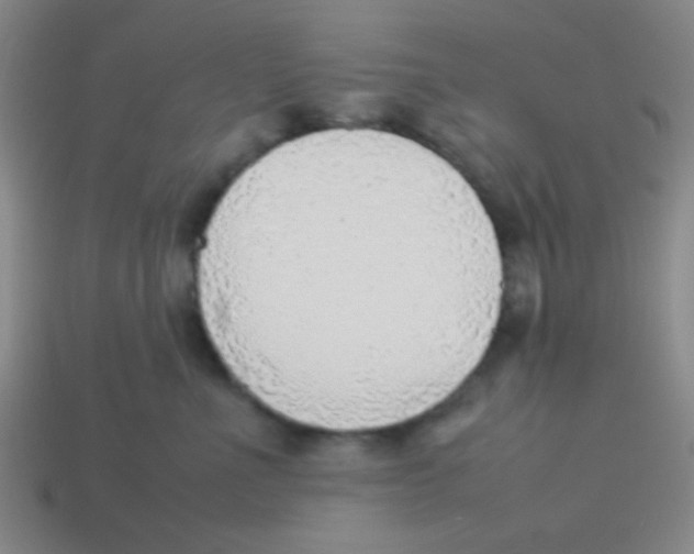 X0000113780523200910211208