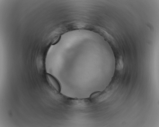 X0000113780524200910211208