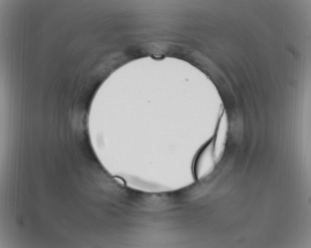 X0000113780525200910211208