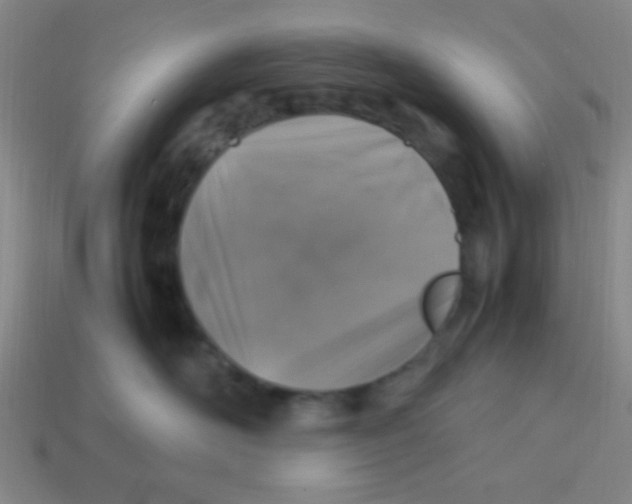 X0000113780526200910211208