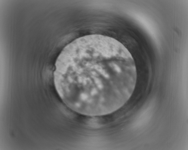 X0000113780527200910211208