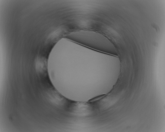 X0000113780528200910211208