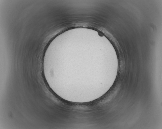 X0000113780529200910211207