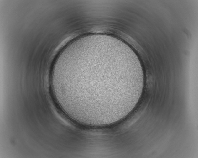X0000113780530200910211207