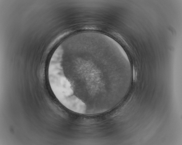 X0000113780531200910211207