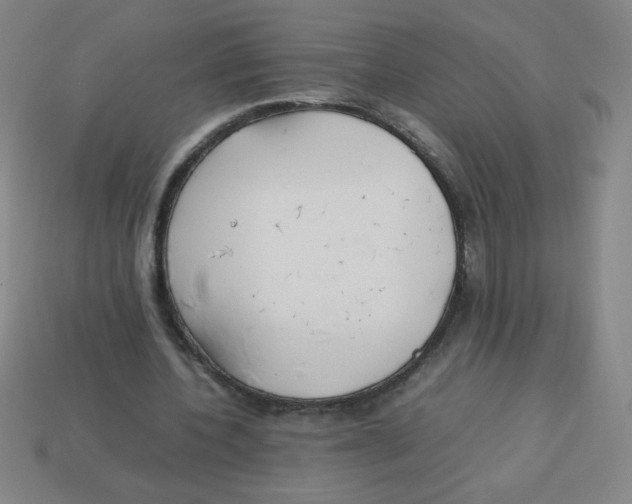 X0000113780532200910211207