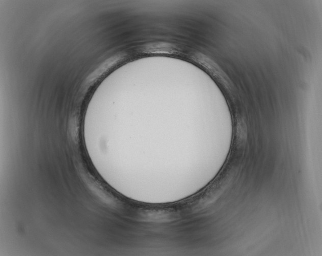 X0000113780533200910211207