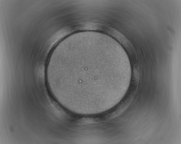 X0000113780534200910211207