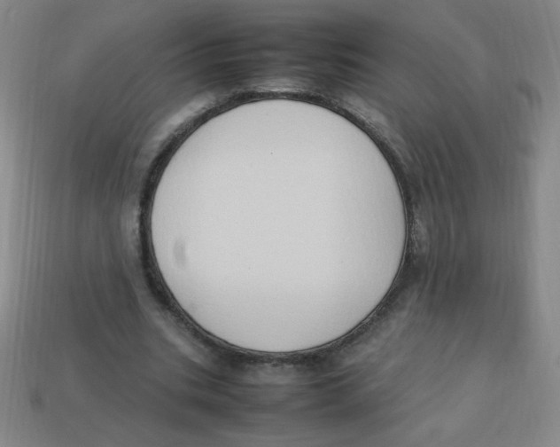X0000113780535200910211208