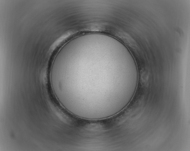 X0000113780536200910211208