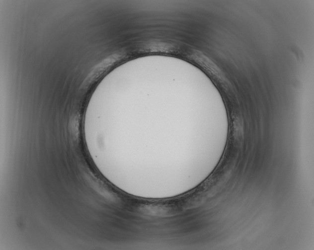 X0000113780537200910211208