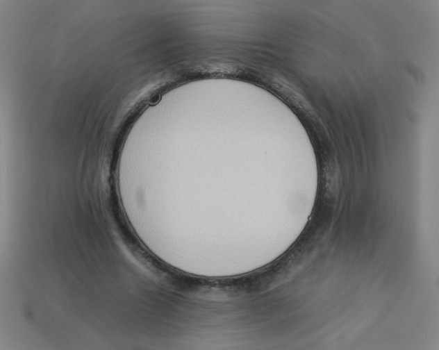 X0000113780538200910211208