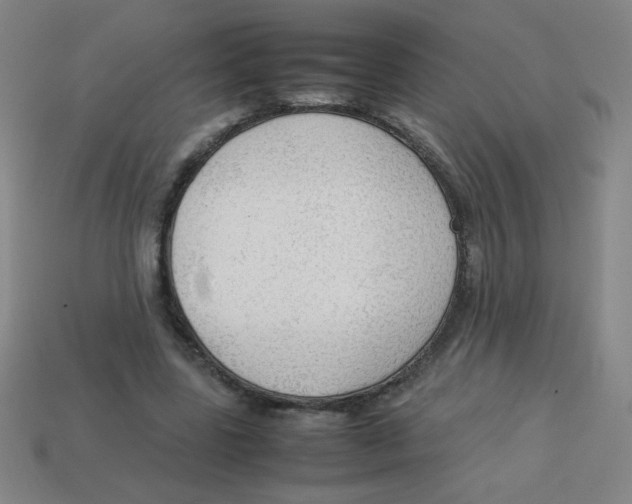 X0000113780539200910211208