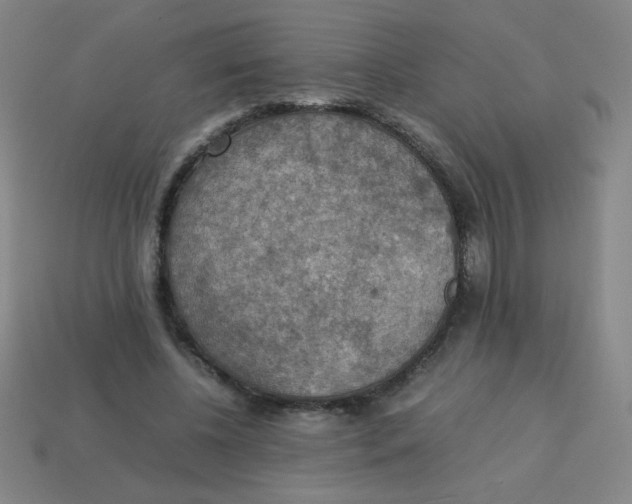 X0000113780540200910211208