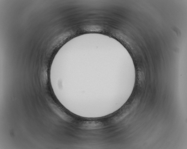 X0000113780541200910211208