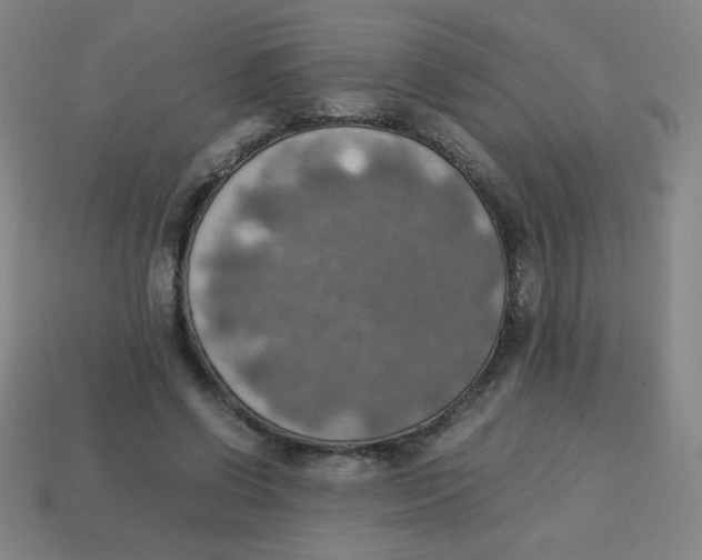 X0000113780542200910211208