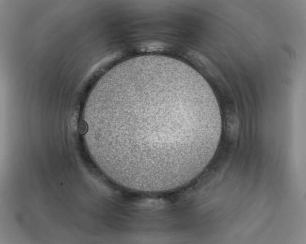X0000113780543200910211208