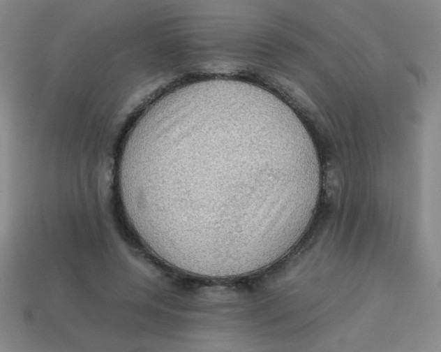 X0000113780544200910211208