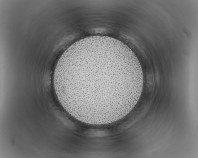 X0000113780545200910211208