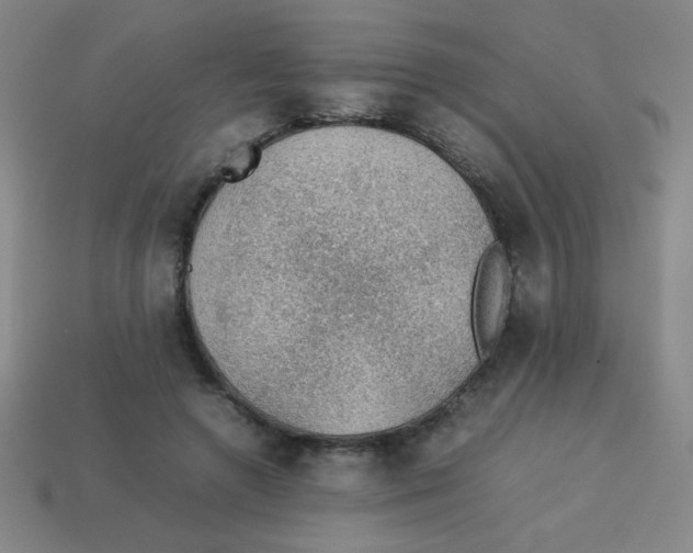 X0000113780546200910211208