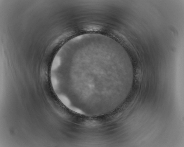 X0000113780547200910211208