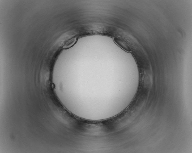 X0000113780548200910211208