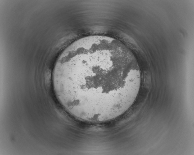 X0000113780550200910211208