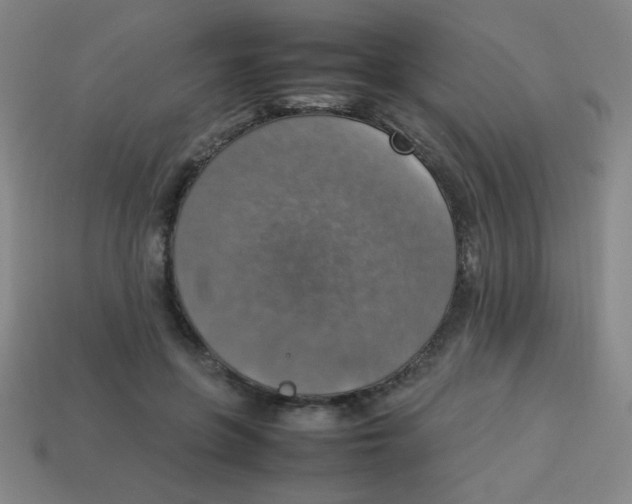 X0000113780551200910211208