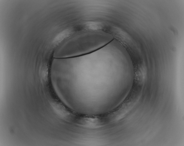 X0000113780552200910211208