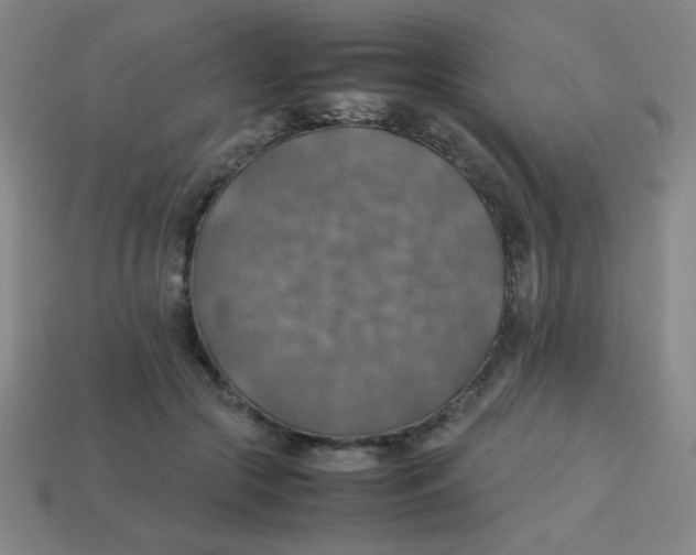 X0000113780553200910211208