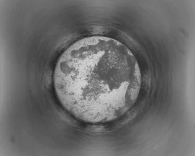 X0000113780554200910211208
