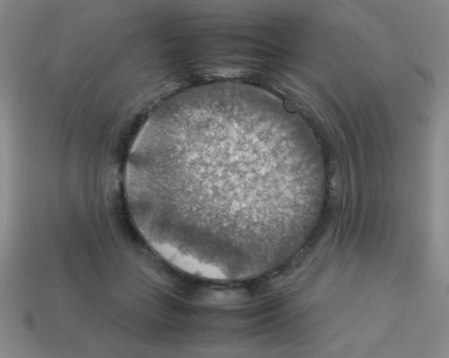 X0000113780555200910211208