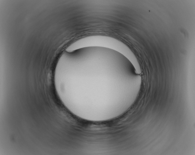 X0000113780556200910211208