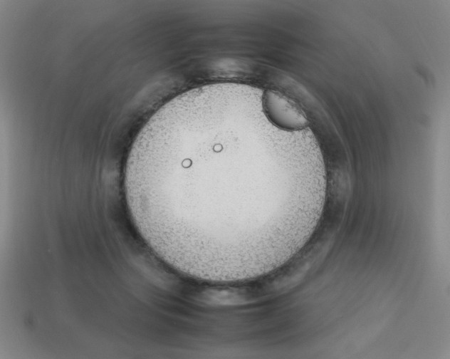 X0000113780557200910211208