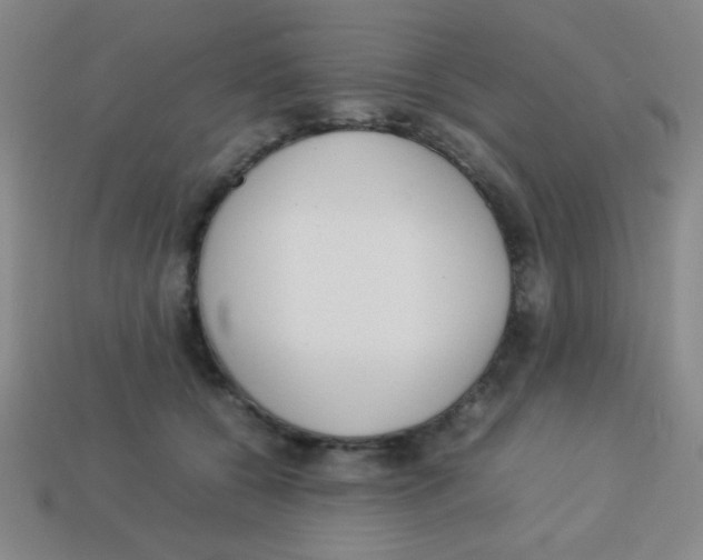 X0000113780560200910211208