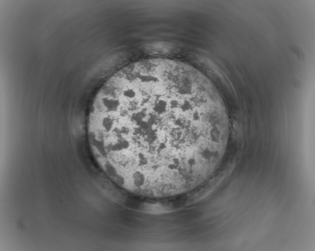 X0000113780561200910211208