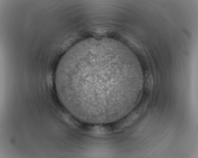 X0000113780562200910211208