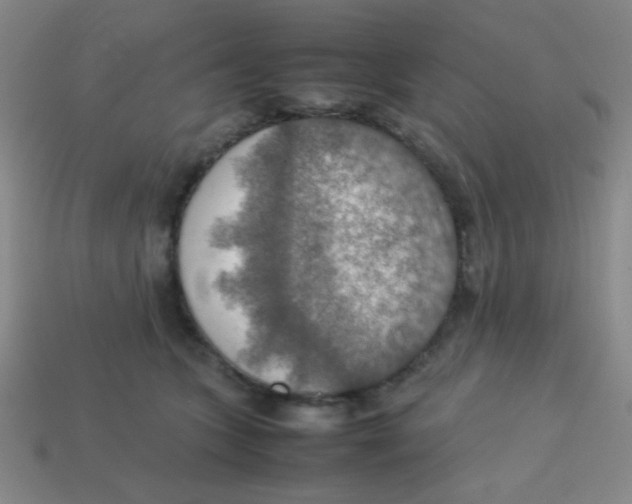 X0000113780563200910211208