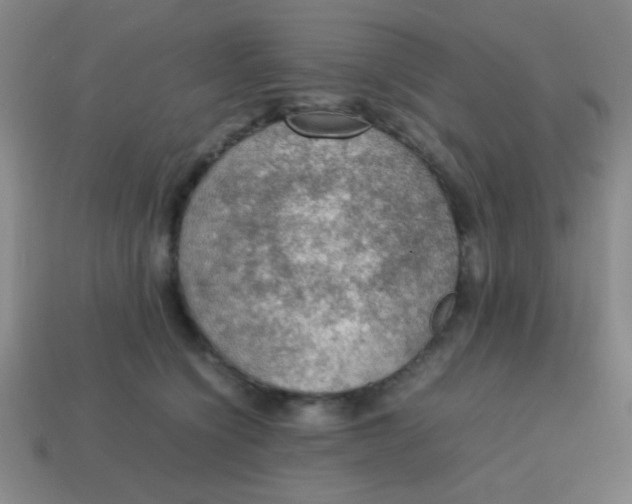 X0000113780564200910211208
