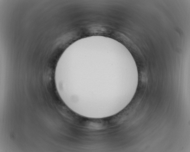 X0000113780567200910211208