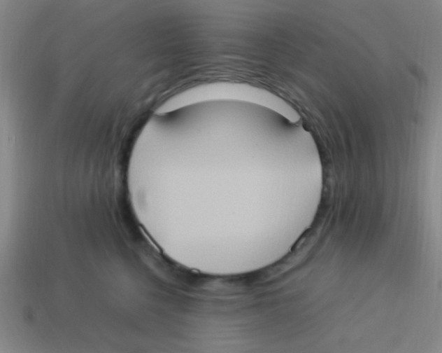 X0000113780568200910211208