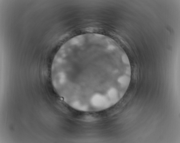 X0000113780569200910211208