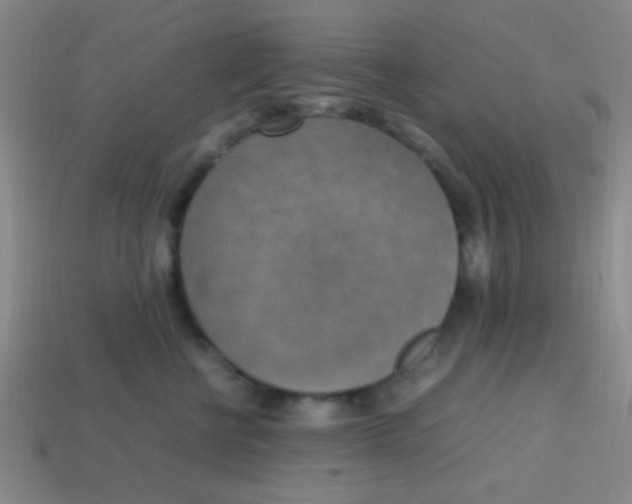 X0000113780570200910211208
