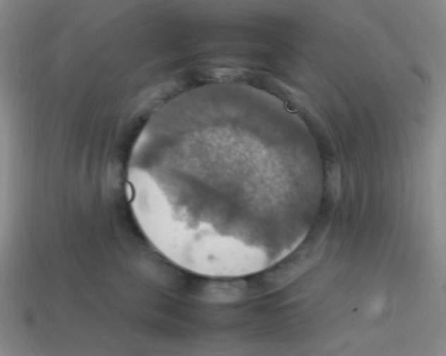 X0000113780571200910211208