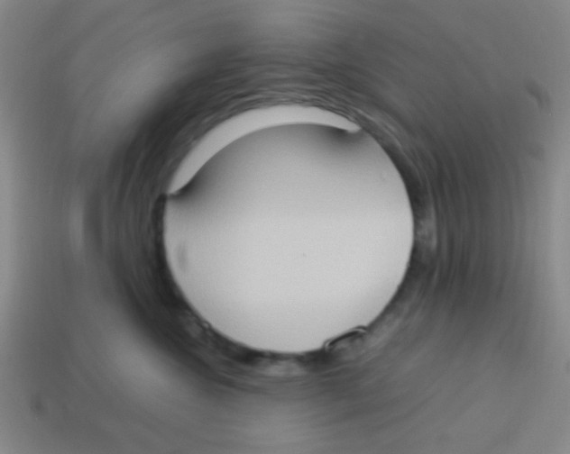 X0000113780572200910211208