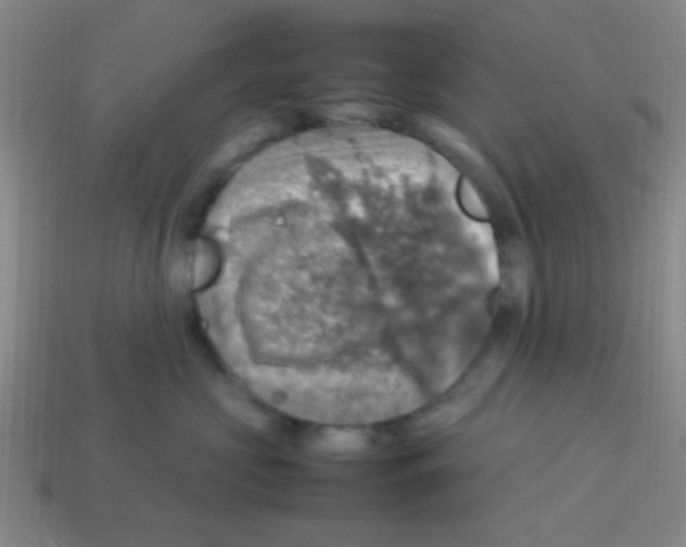 X0000113780573200910211208